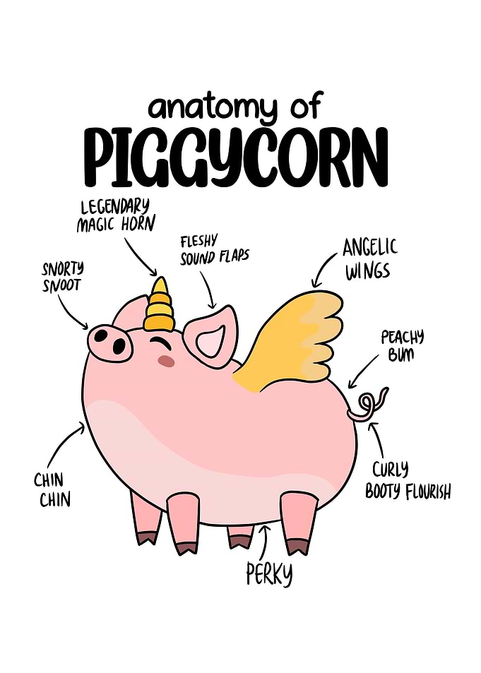 Unicorn Pig Piggycorn Gift