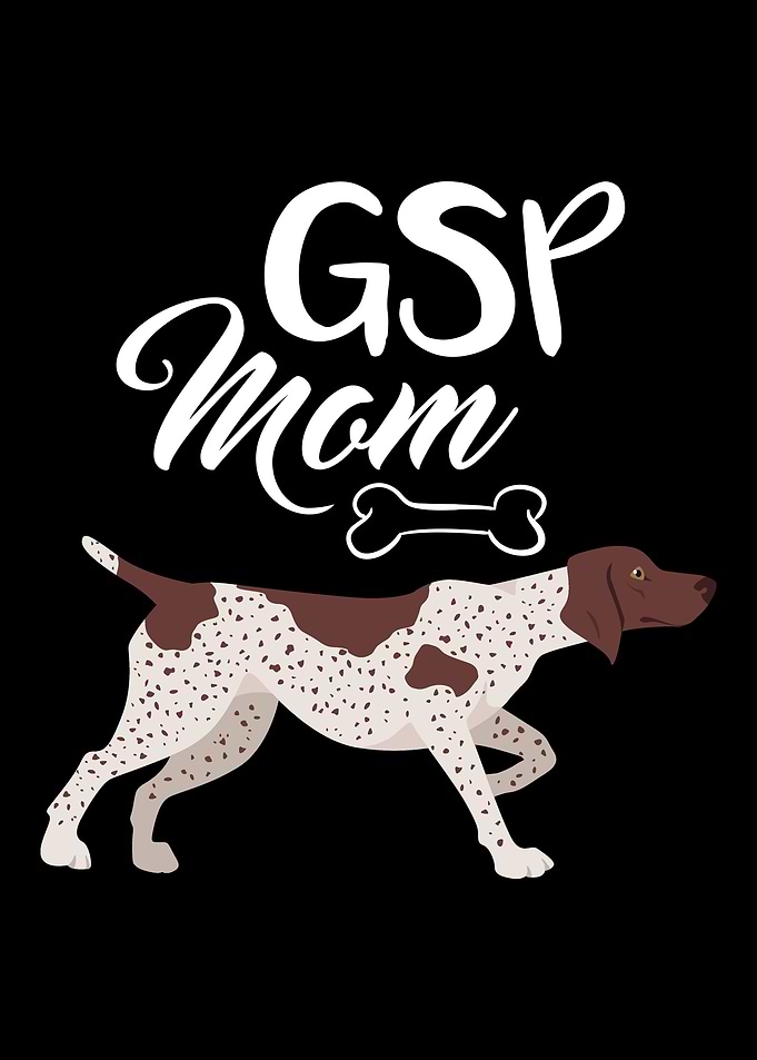 German Shorthair Pointer