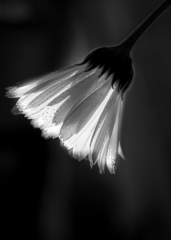 Art of Light