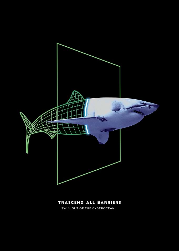 Shark Swims through a Warp