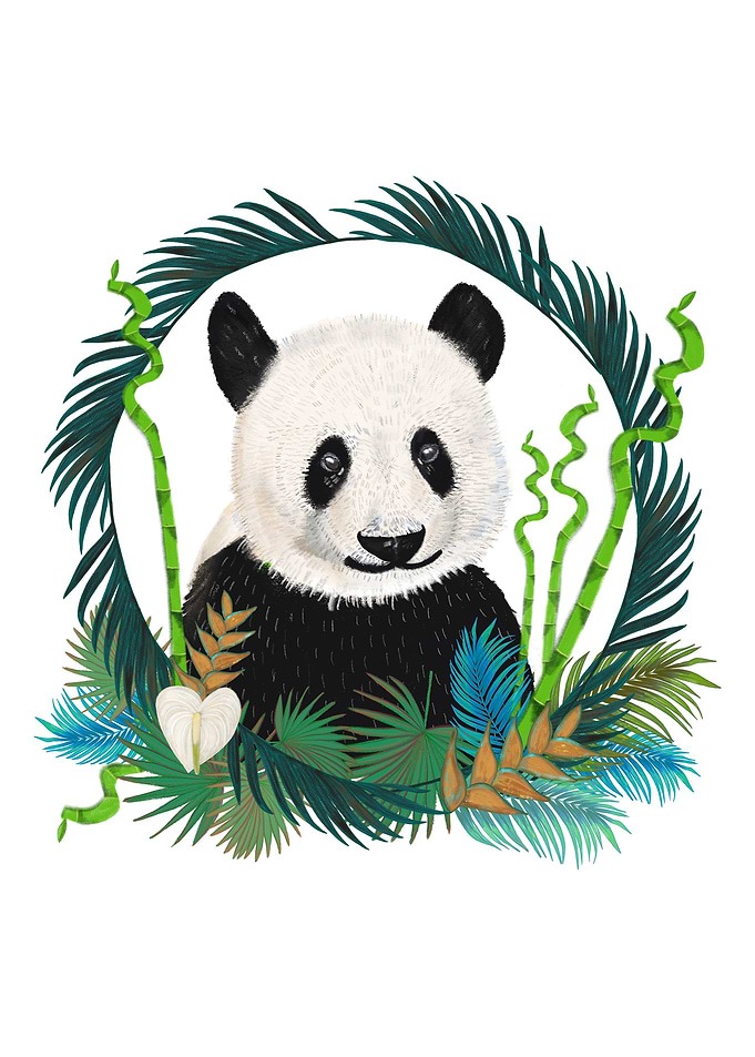 Cute Panda