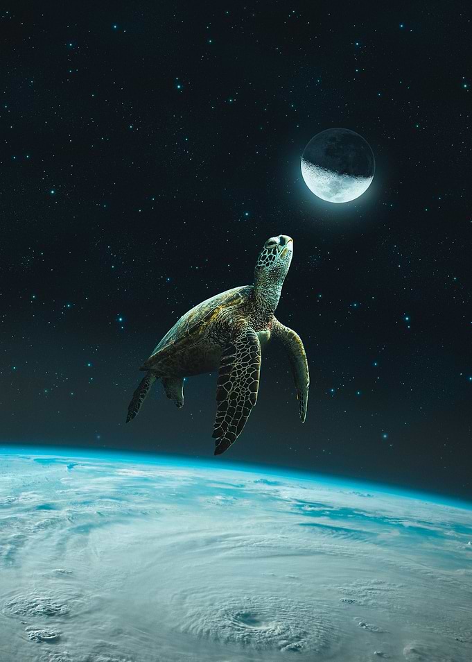 To the moon
