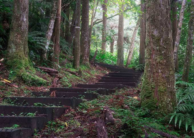 Ecological Trail Stairs