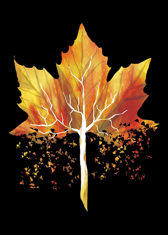 Leaf Autumn Tree Orange Fa