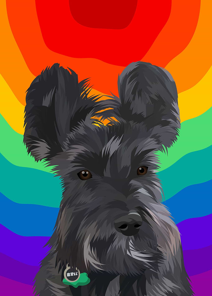 pet dog cute