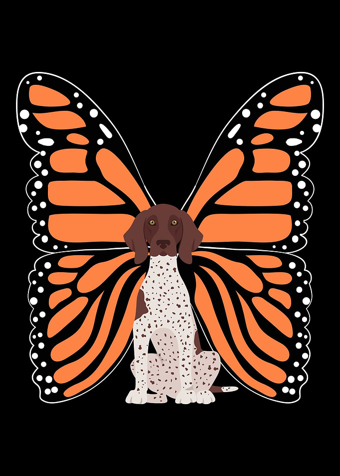 German Shorthair Pointer