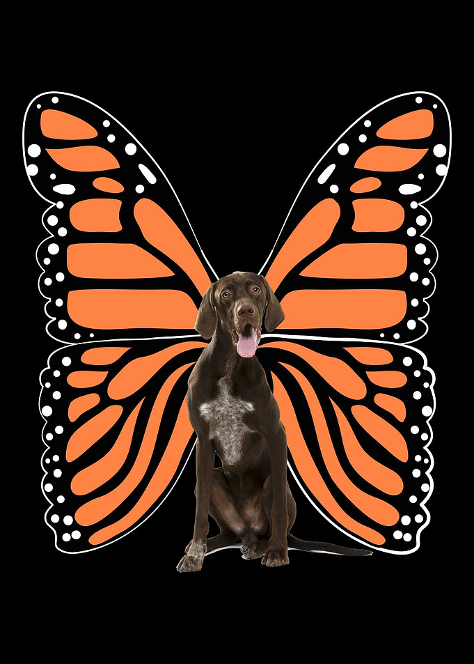 German Shorthair Pointer
