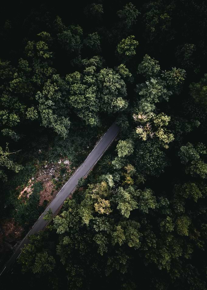 The Path