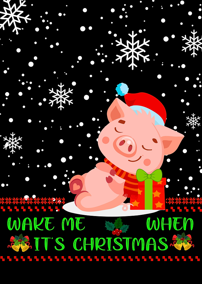 23 Wake me up at Xmas 23