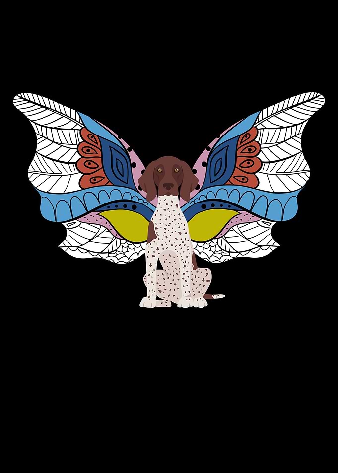 German Shorthaired Pointer