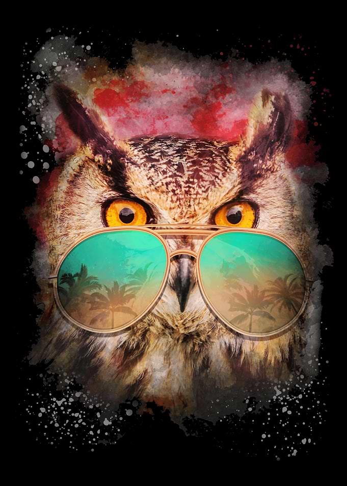Hawaii Owl Sunglasses