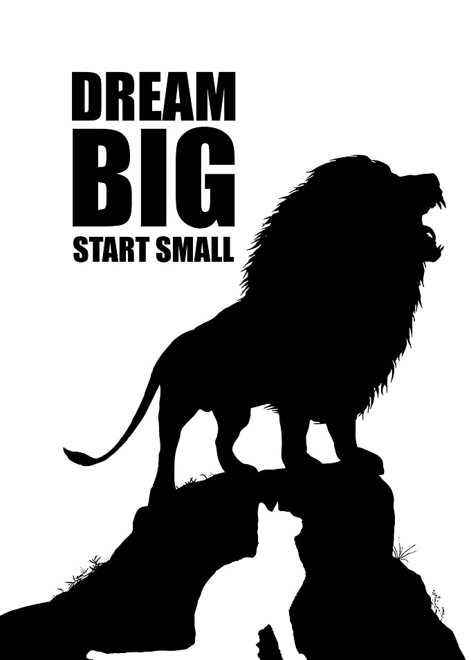 Dream Big Start Small