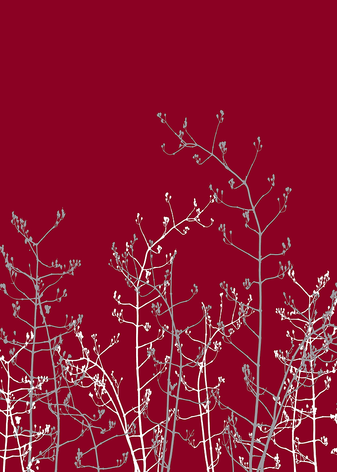 Burgundy Flower Abstract
