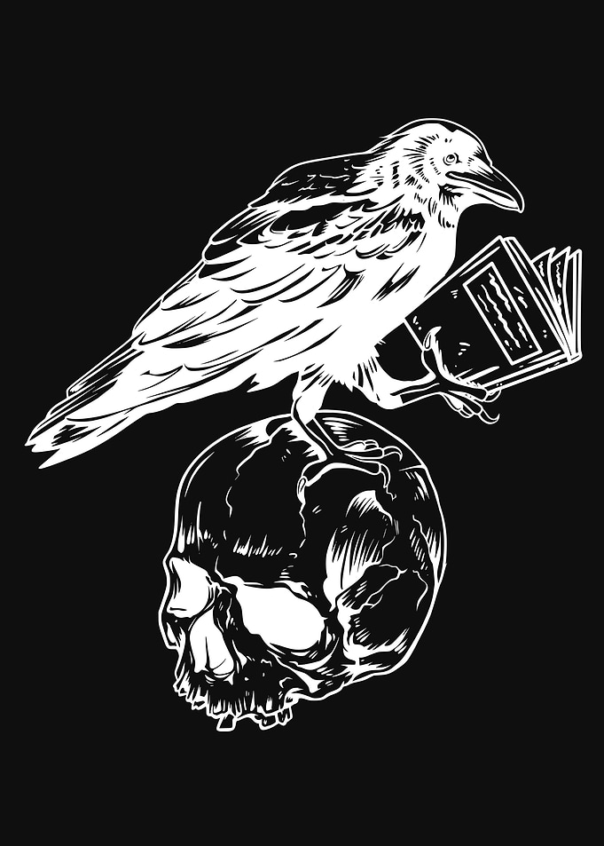 Dark Academia Raven Skull