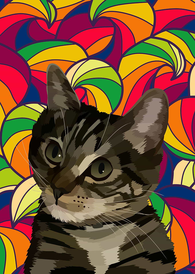 animal pet cat