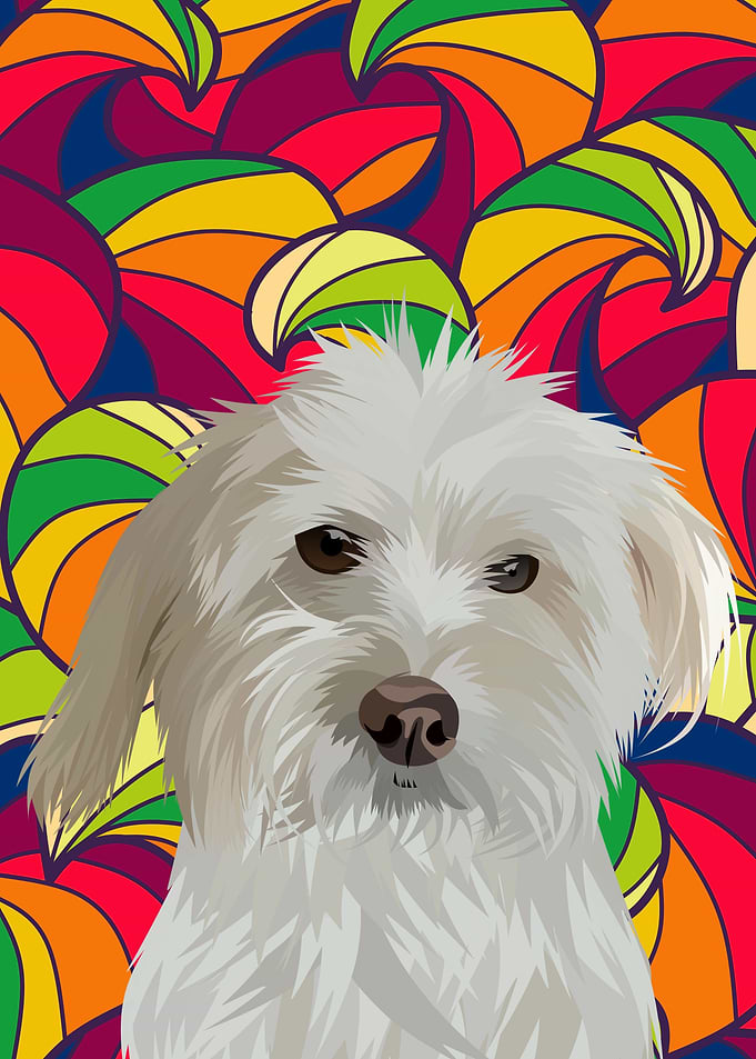 animal pet dog