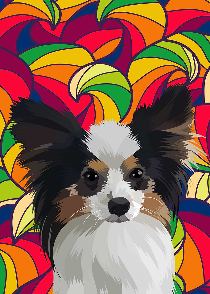animal pet dog