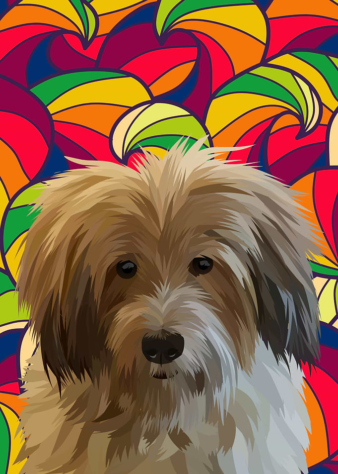 animal pet dog