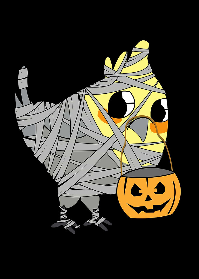 Cockatiel Halloween Funny