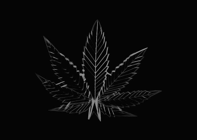marijuana