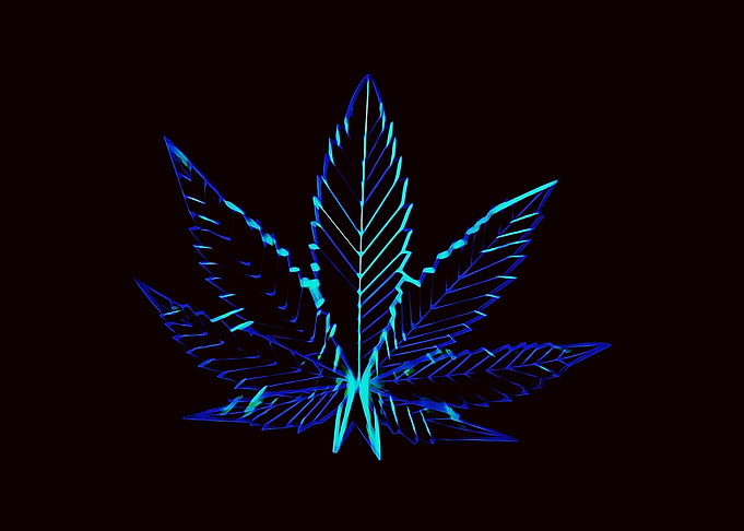 marijuana