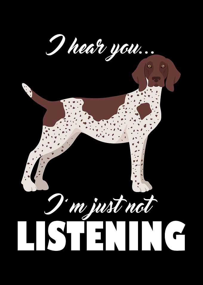 German Shorthair Pointer