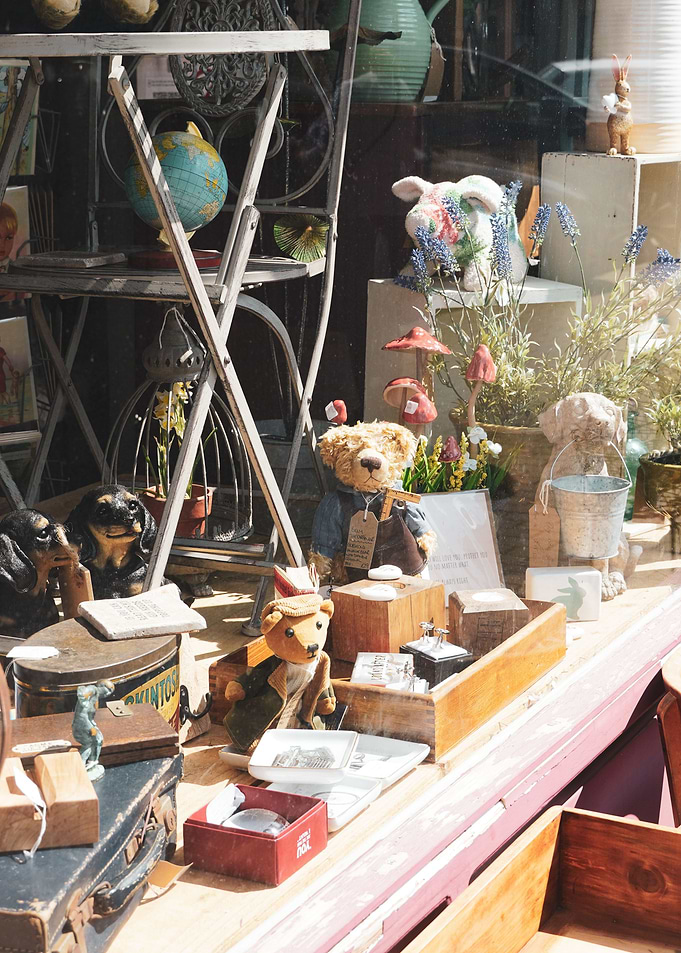 Ted in a store