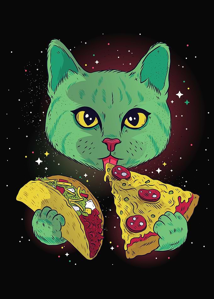 Mexico taco cosmic cat