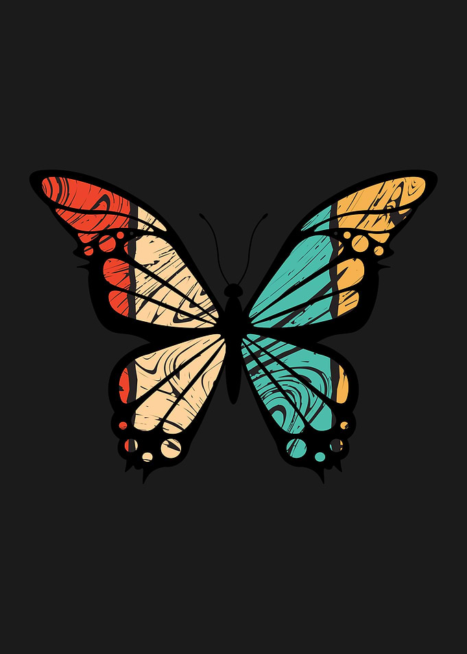 Butterfly Animal