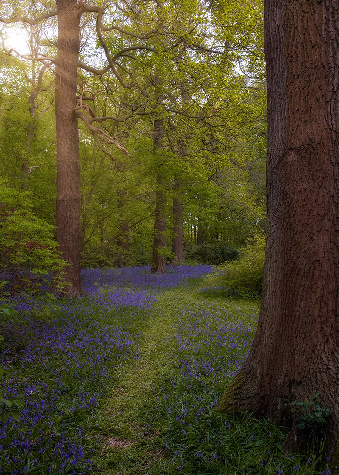 London Spring in Richmond