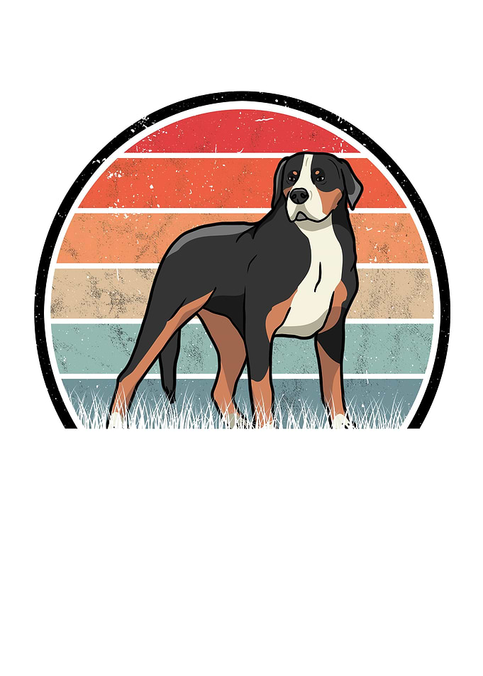 Great Swiss Mountain Dog