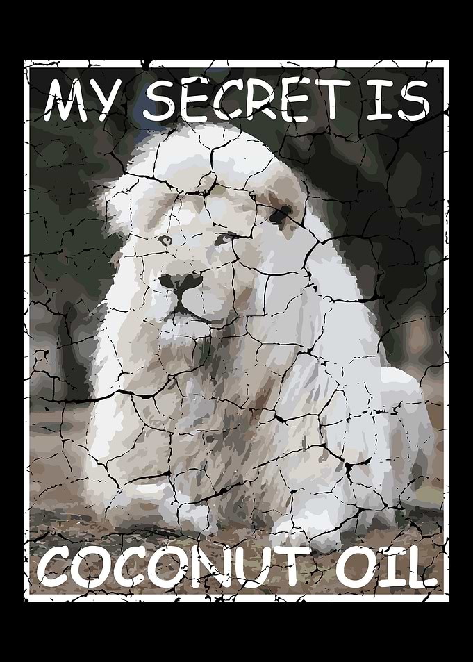 Coconut Oil Funny and Humo