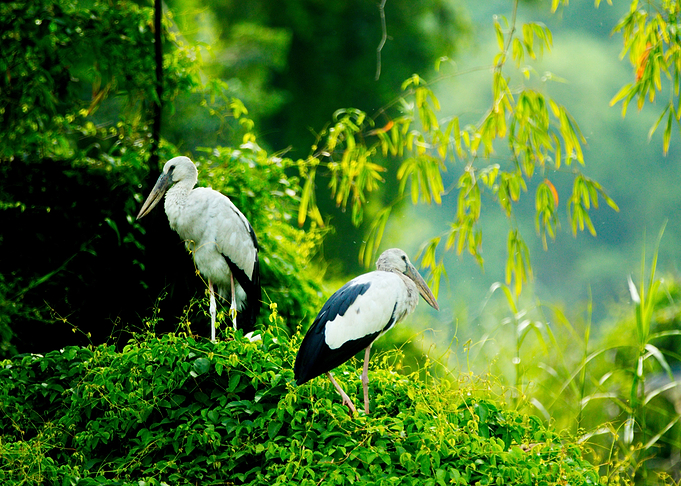 Couple in silence