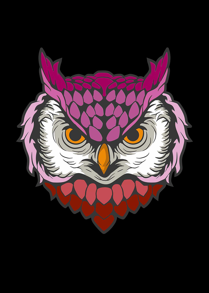 Lesbian Romance Owl