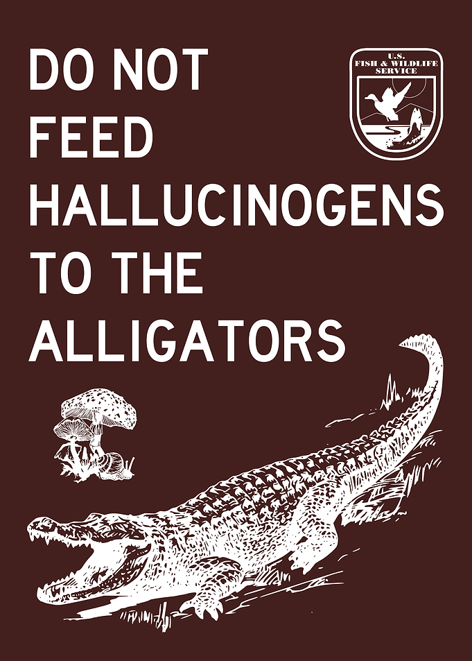 DO NOT FEED ALLIGATOR 2