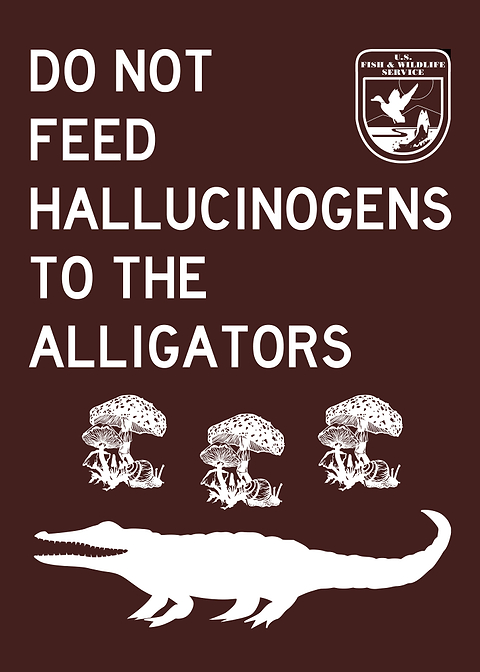 DO NOT FEED ALLIGATORS 1