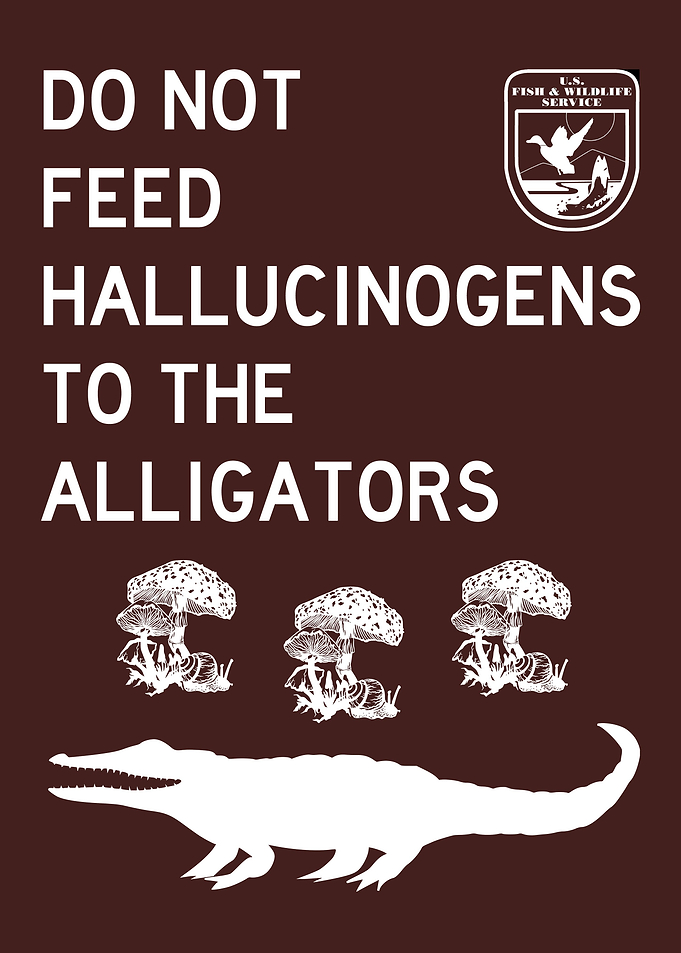 DO NOT FEED ALLIGATORS 1