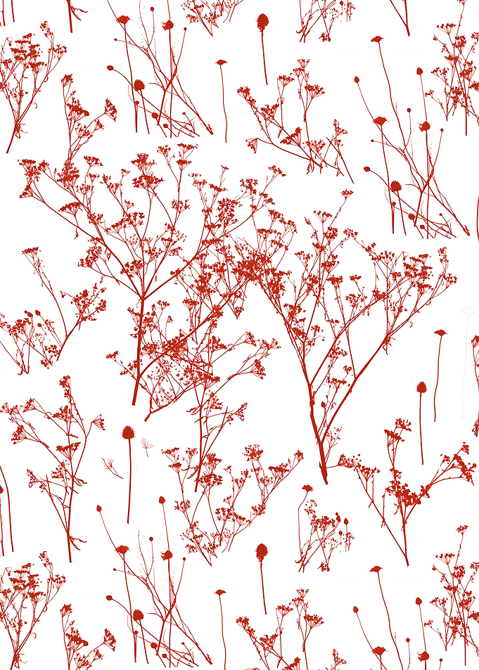 Red Toile Flowers