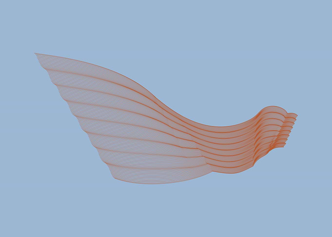 Animale 01