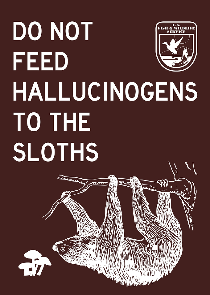 DO NOT FEED SLOTH BROWN