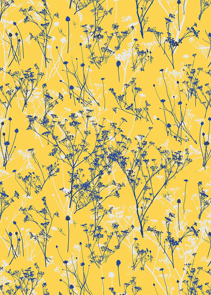 Abstract Wildflowers