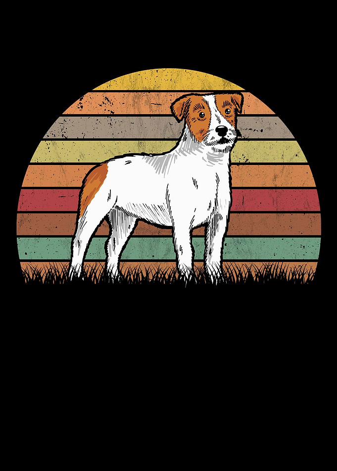 Parson Russell Terrier