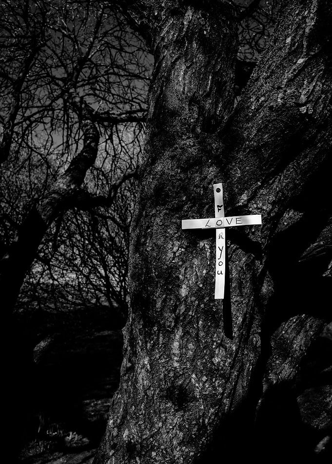 Cross of tree