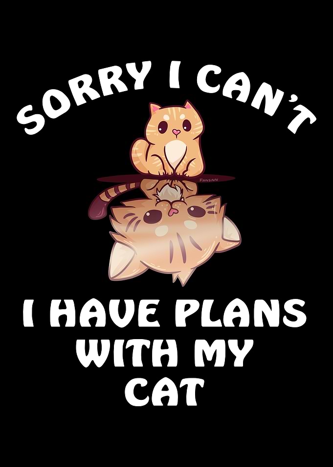 Sorry I Cant I Have Plans