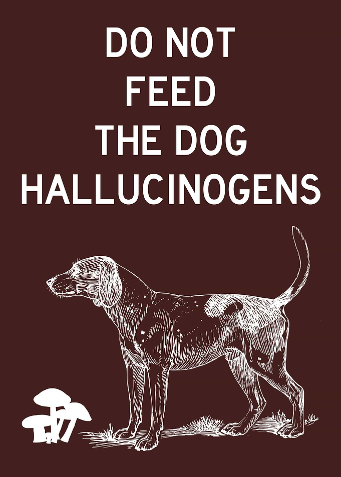 DO NOT FEED DOG FUNNY 1