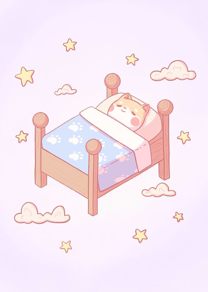 Sleepy Bean