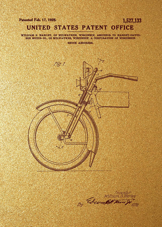 20 Harley Davidson Shock