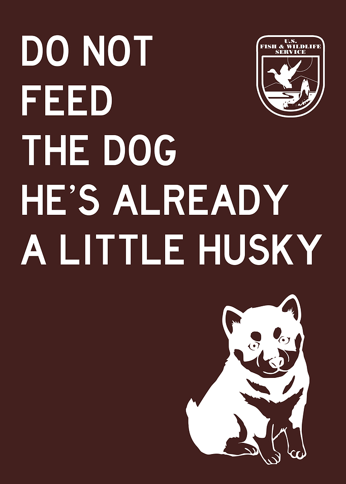 DO NOT FEED HUSKY FUNNY 2