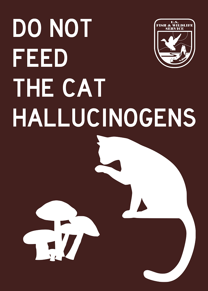 DO NOT FEED CAT FUNNY 2