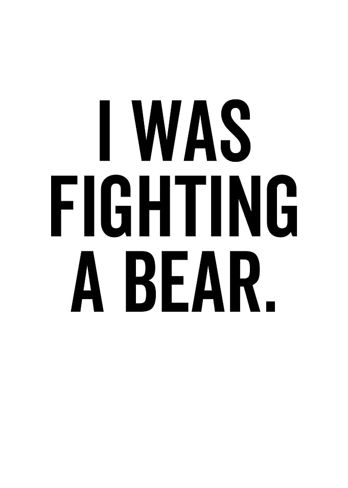 I Was Fighting a Bear